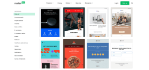 mailerlite newsletter templates