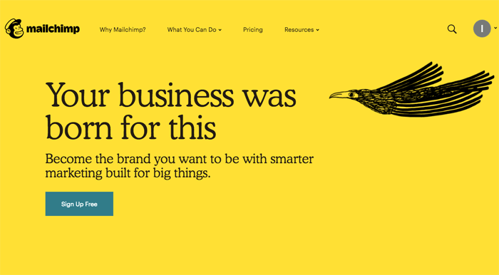 Mailchimp small business