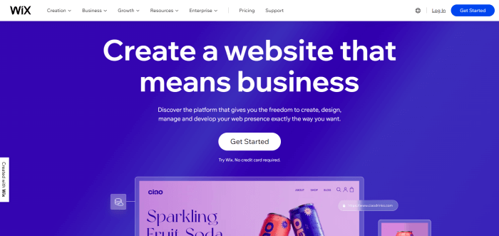 Wix homepage