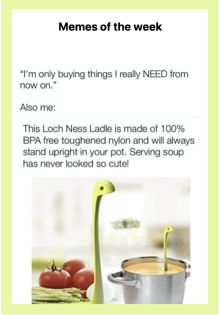 memes in newsletters