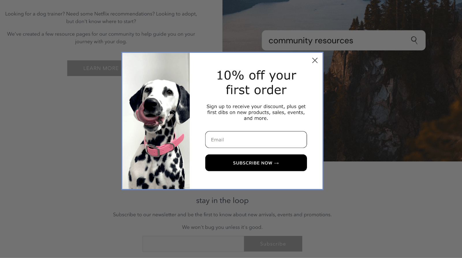 newsletter sign up example - good boy collective