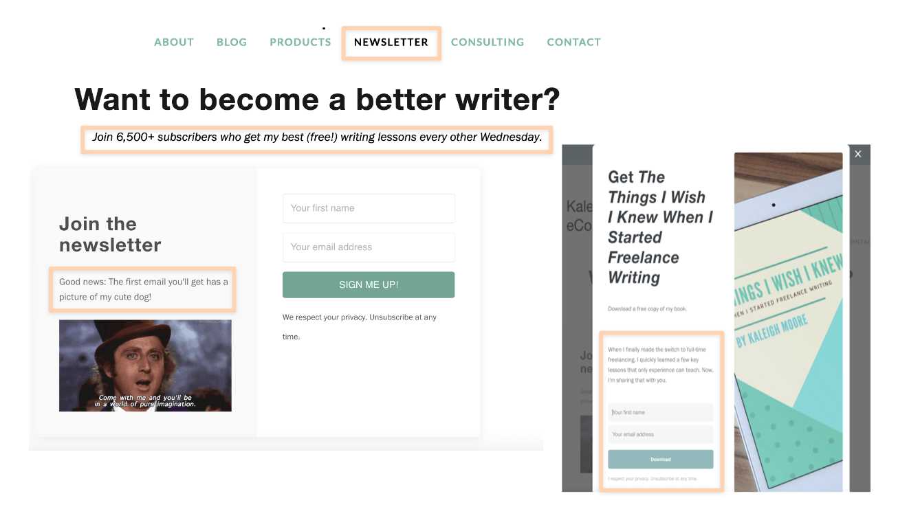 newsletter sign up example - kaleigh moore