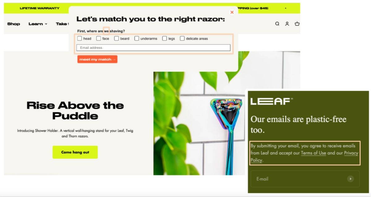 19 Newsletter Sign Up Examples: Designing Forms that Convert