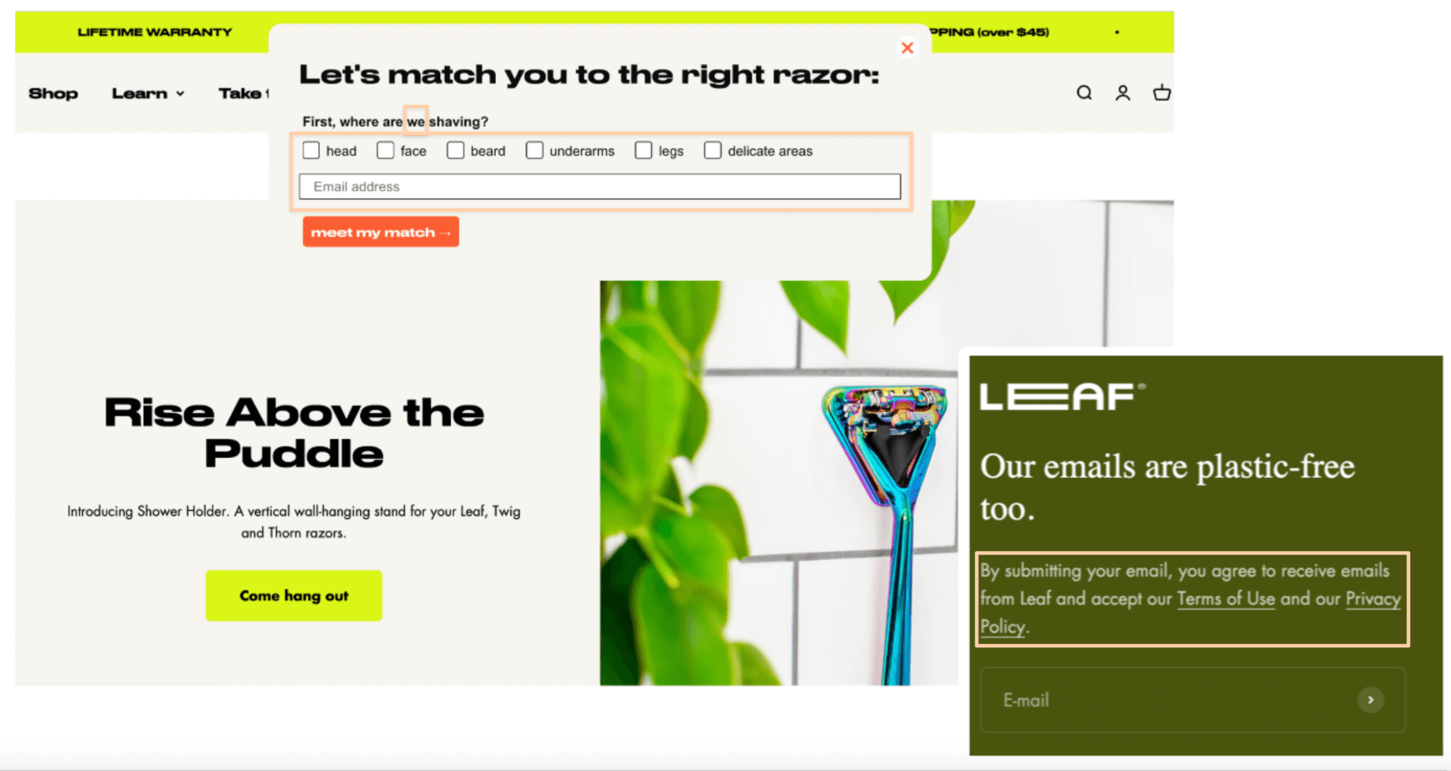 newsletter sign up example - leaf shave