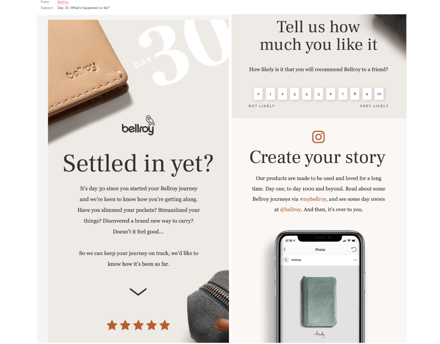 feedback request newsletter