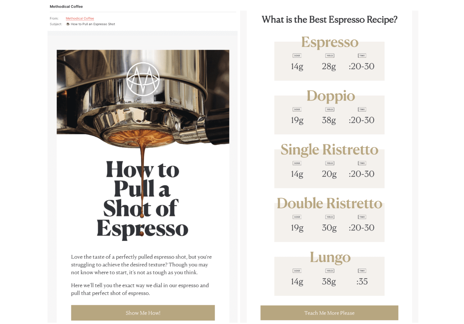 how-to newsletter idea