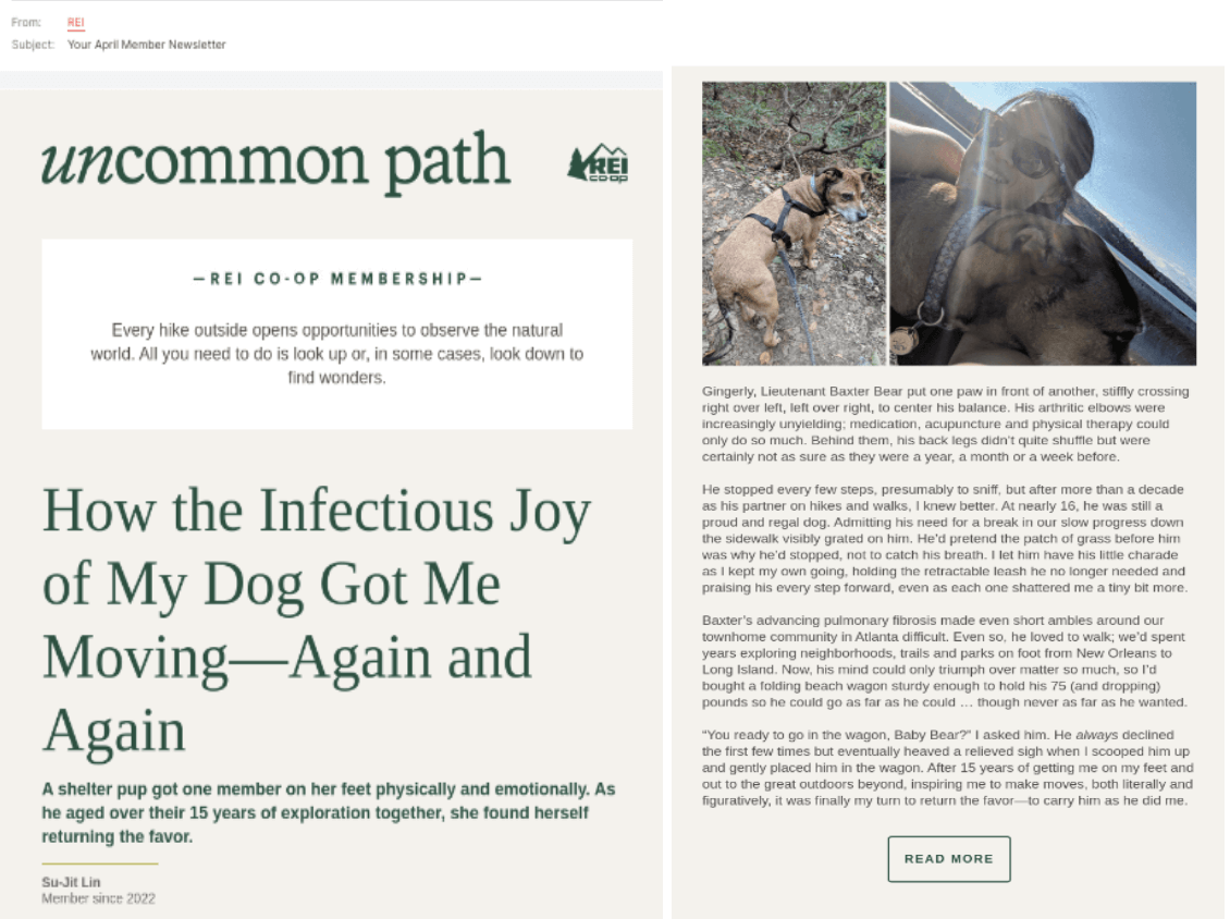 member spotlight newsletter idea