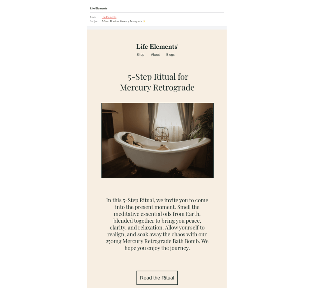 seasonal content newsletter 