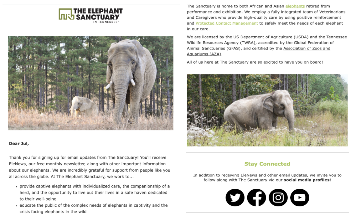 Email Newsletter Ideas: 27 Ways to Boost Engagement