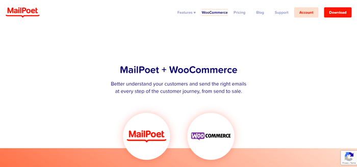 MailPoet