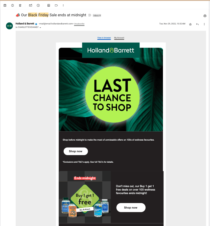 holland and barrett black friday email campaign 