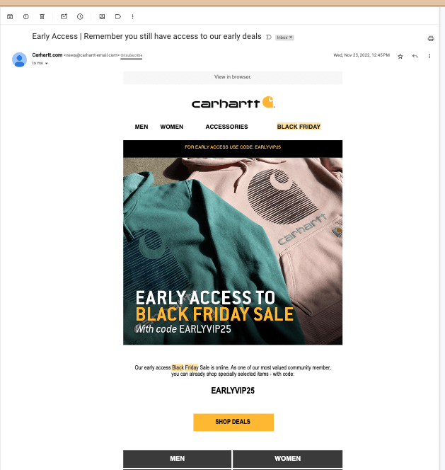 Carhartt black friday email examples