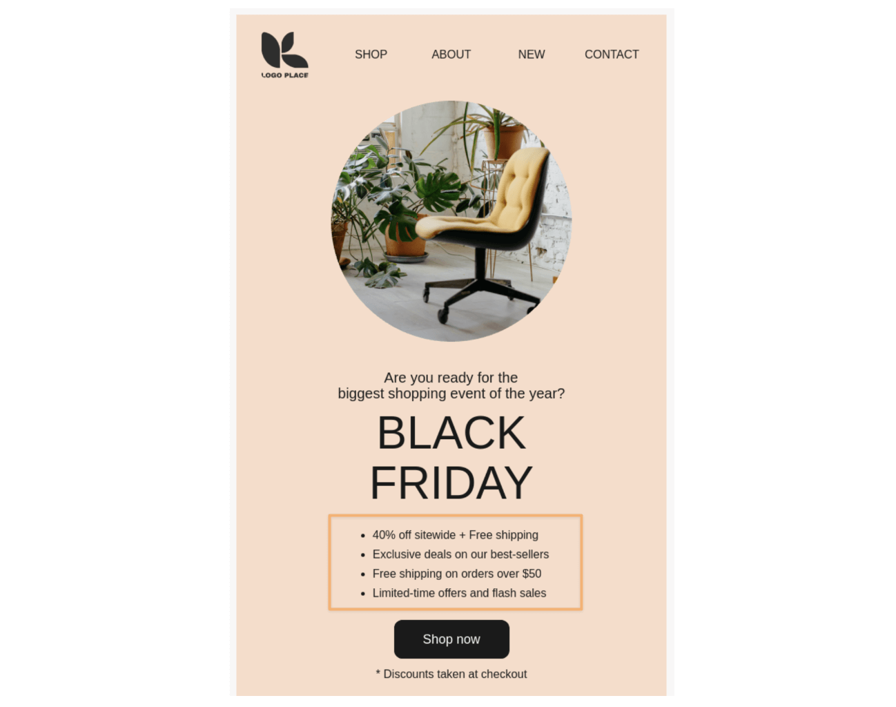 Klaviyo Black Friday sale email template