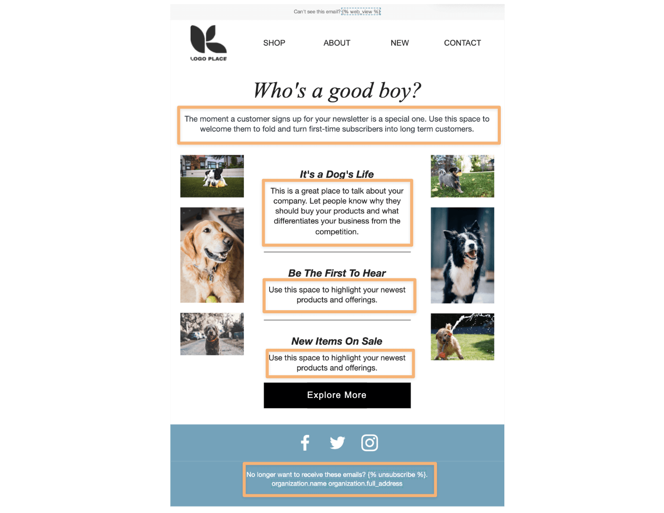 Klaviyo welcome email template