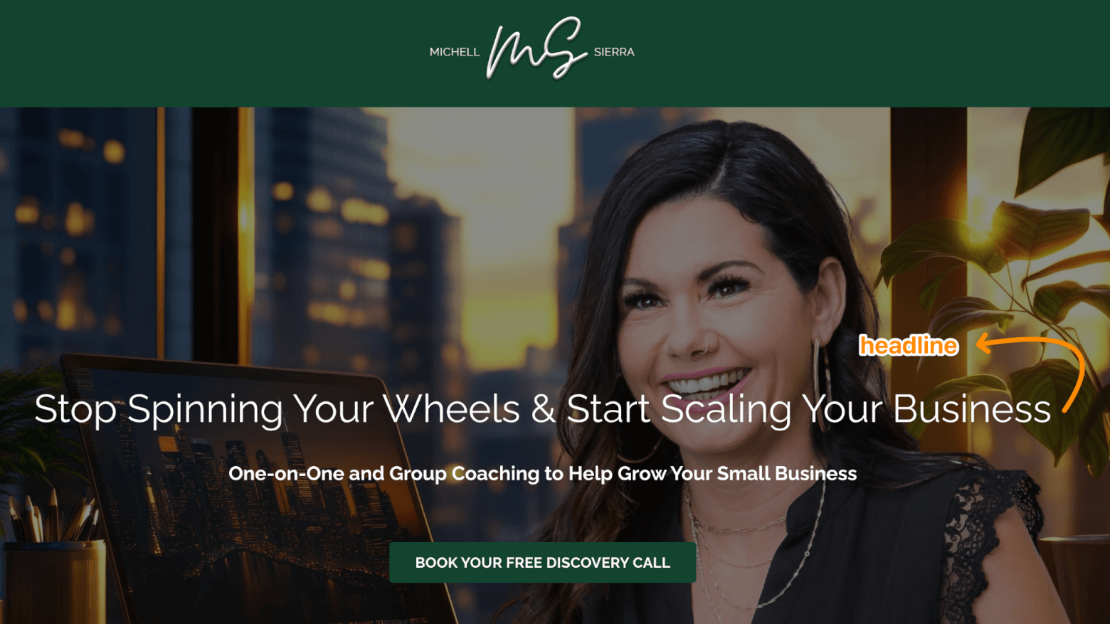 Michelle Sierra's ad landing page - headline highlighted: Stop Spinning your Wheels and Start Scaling Your Business