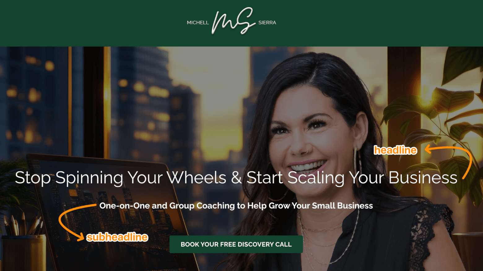 Michelle Sierra's ad landing page - sub headline highlighted: One-on-one and group coaching to help grow your small business
