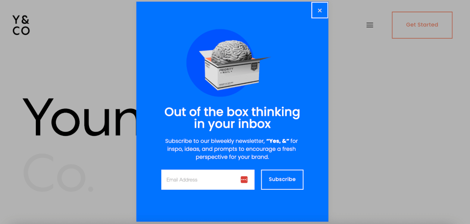Ejemplo de formulario de email marketing bien diseñado - young and co