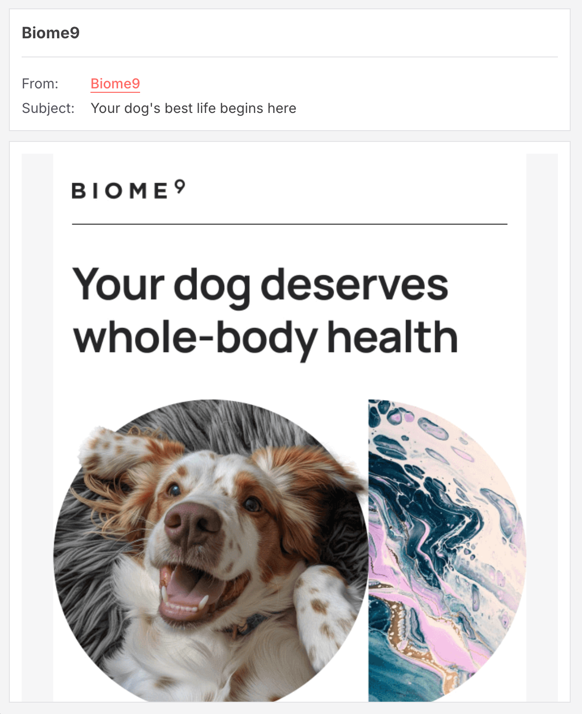 Subject line: Your dog's best life begins here