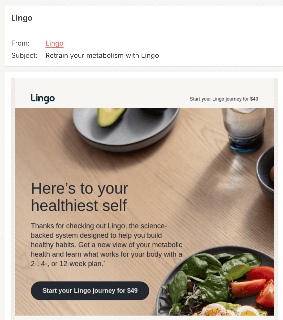 Welcome email: Retrain your metabolism with Lingo