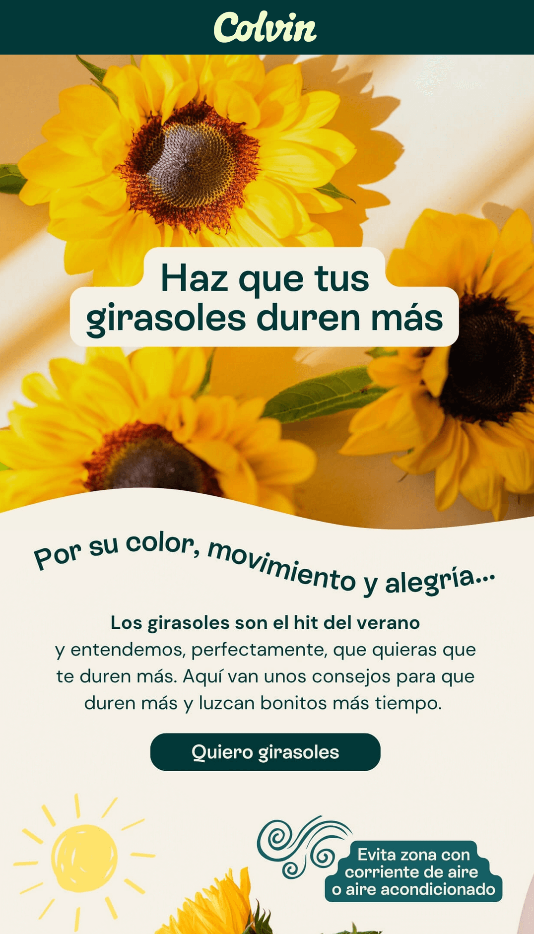 Ejemplo newsletter Colvin