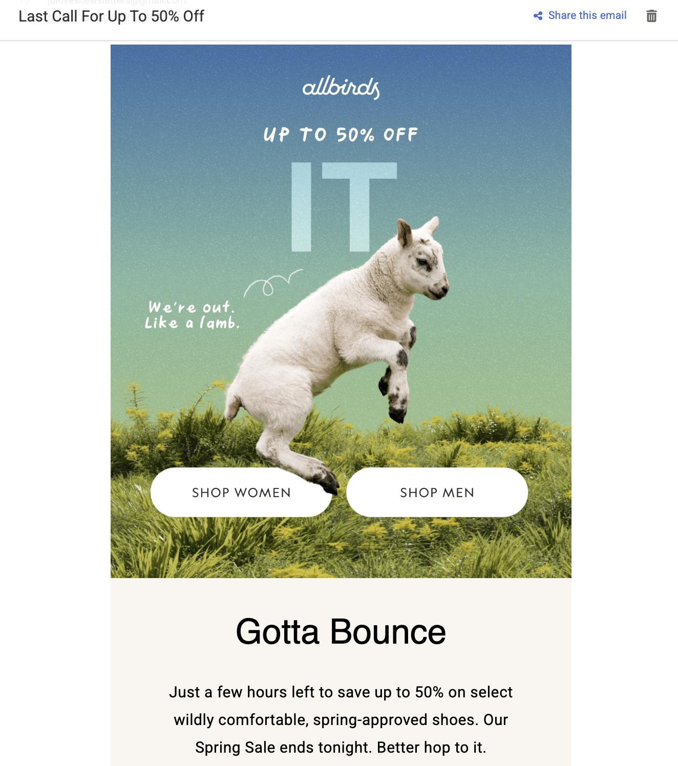 allbird's promotional email