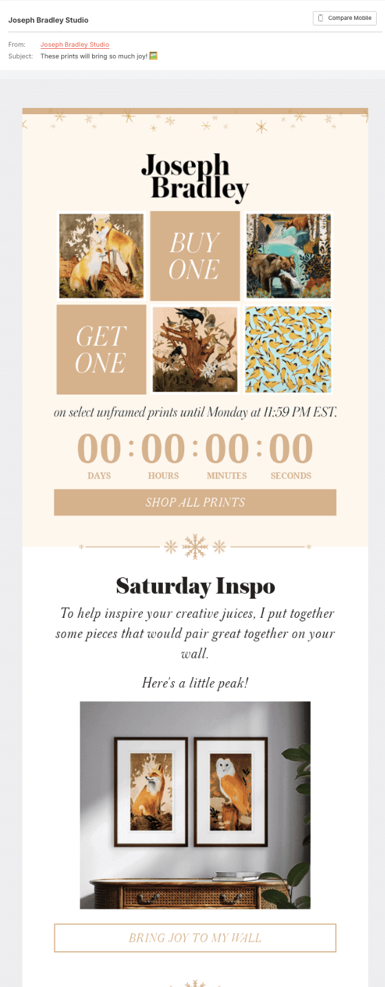 Joseph Bradley's promotional email