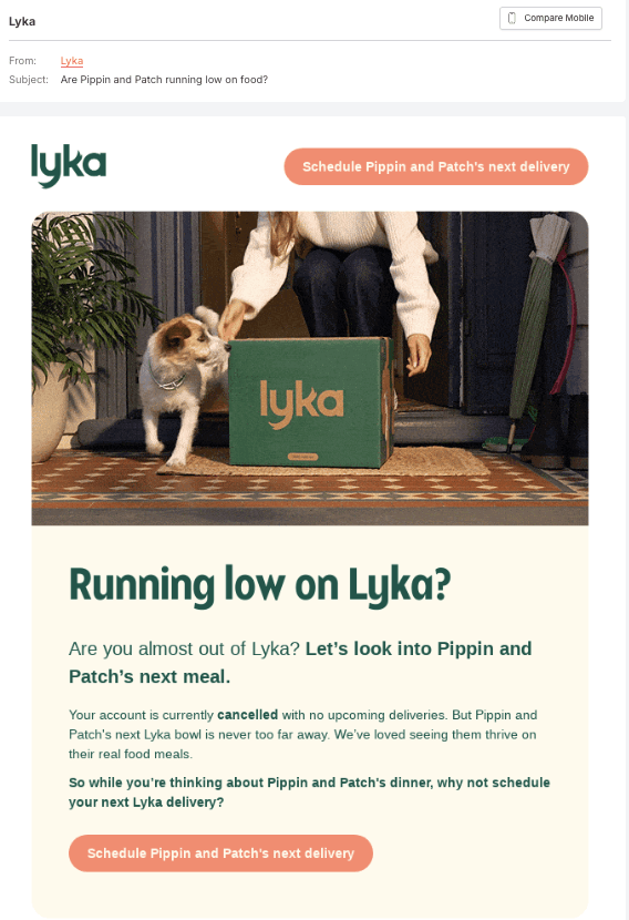 Lyka's promotional email